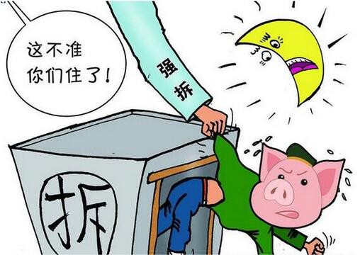 采用“5+2 白+黑”工作模式 全力推进生猪养殖场拆除工作