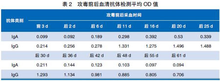 母猪流行性腹泻返饲后免疫应答评估