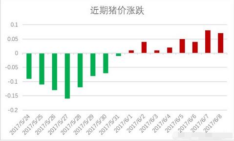 猪价：上涨不停！上涨势头能否燎原？