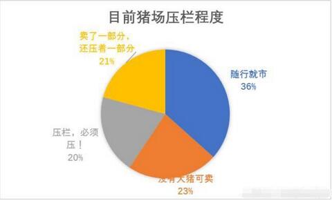 猪价：上涨不停！上涨势头能否燎原？