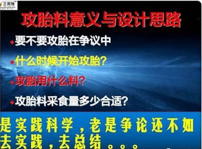 中国饲料营养与脂肪应用——时代论坛