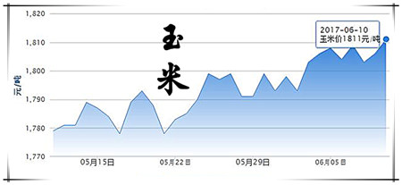 6月10日猪评：猪价全面大范围上涨，局部涨至14元以上