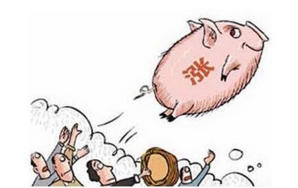 万紫千山一片红!养殖户又见希望!猪周期走了吗?