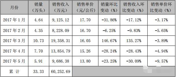 温氏卖的猪多价还高！规模猪场5月售猪情况出炉