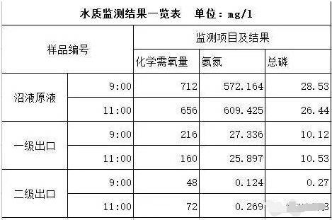 探秘！这家300多头的母猪场，处理后的沼液水能直接养鱼