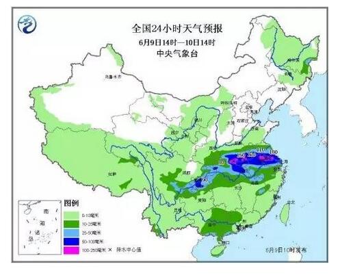 本轮猪价能涨多久？双汇：将逐步下跌 会有阶段性反弹