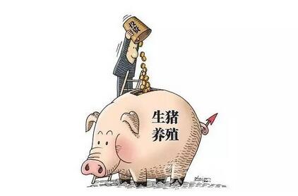 疯狂上演的养猪投资潮成为猪价下跌推手 养殖户很受伤