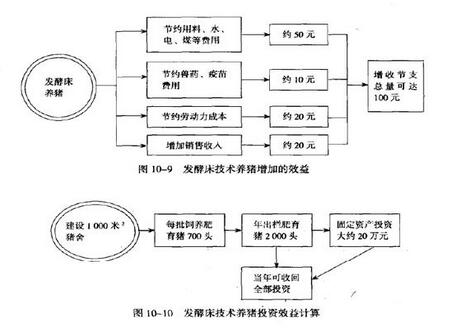 发酵床养猪的优点有哪些？最起码不让乡亲们闻臭味了