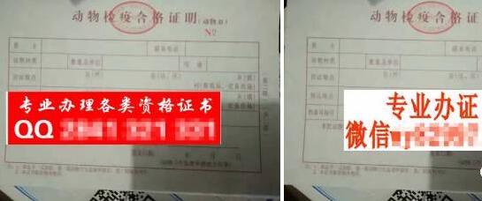 农业部6-10月开展的这项整治行动，事关全国养殖户