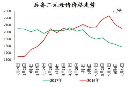 种猪销量骤减！利润缩水后市场低迷？