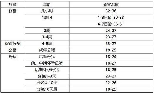 夏季猪群的饲养管理和预防保健