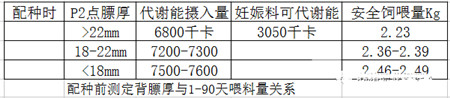 测量P2点膘厚-确保母猪连续高产的基础，你不得不重视