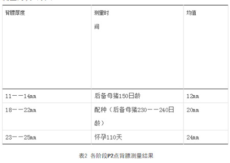 测量P2点膘厚-确保母猪连续高产的基础，你不得不重视