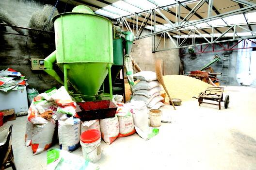 猪肉价格跳水都赖进口?数量少口感差进口猪难撼市场