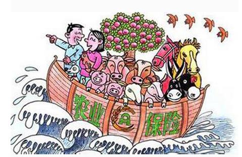 养猪人：种地养猪可享受“工伤”保险