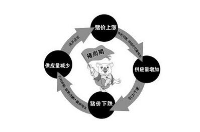 从猪周期角度看 养殖户还是要客观的看待涨势
