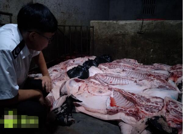海口一私宰生猪窝点被端 老板直喊“我亏死了”