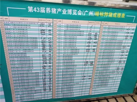 第43届养猪产业博览会（广州）圆满结束，拍出1.2万的“猪王”