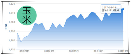 6月19日猪评：13.92元/公斤已是峰值，降雨结束上涨也结束