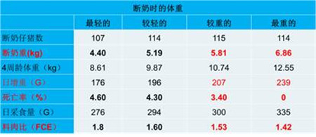 夏季重点关注：母猪奶水不足不仅影响仔猪生长性能，更影响…