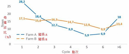 如何减少后备母猪更换率和维持较好的胎次分布？