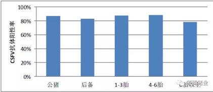 2017第一季度CSFV的主要问题是它？！