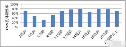 2017第一季度CSFV的主要问题是它？！