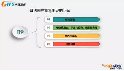 母猪围产期系列报道四：母猪围产期容易出现的问题及危害