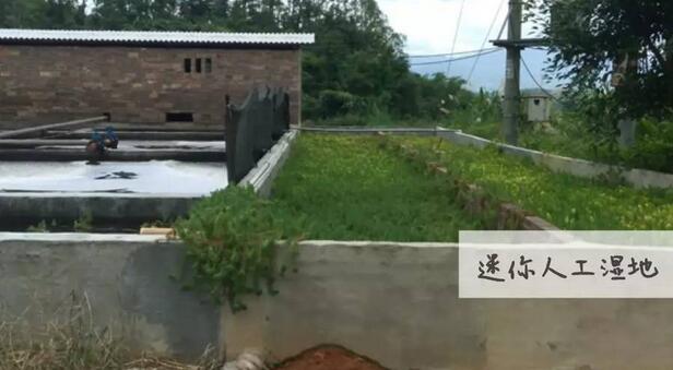 独具匠心的3种方法，猪场污水治理也可以很简单