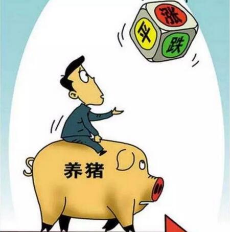 快来看看“老股民”是怎么看待养猪和猪周期的吧!