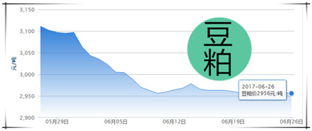 6月26日猪评：降雨带来重大利好！养殖户切不可错过好时机