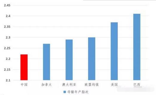 必看！主要养猪国家关键生产数据对比及中国的发展机遇