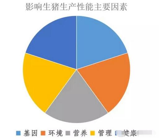 必看！主要养猪国家关键生产数据对比及中国的发展机遇