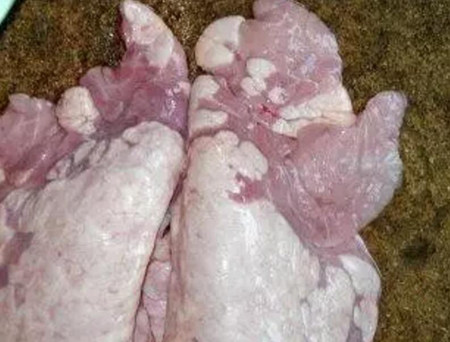 得了气喘病，利润扒一层！问题在哪里？