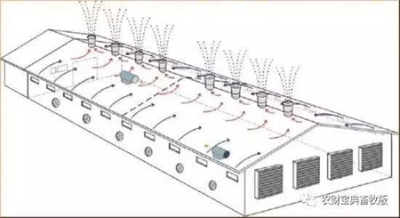 炎炎夏日，母猪燥热不食？猪场通风设施350元/㎡可以这么建！
