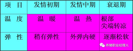 四图四表教会你如何鉴定母猪发情