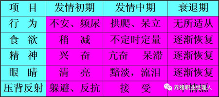 四图四表教会你如何鉴定母猪发情