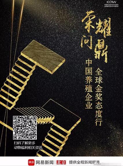 中国养殖企业厉害了,网易将全程跟踪报道他们的欧洲领奖之行