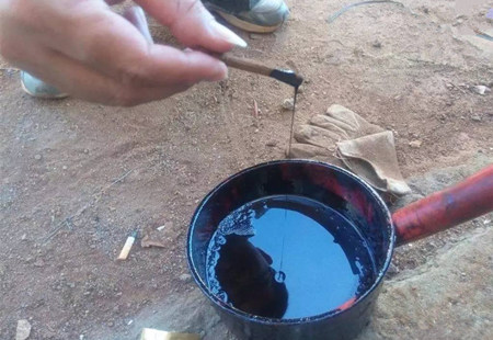 可以导致猪中毒的四种常见有毒气体及相应的产生原因！