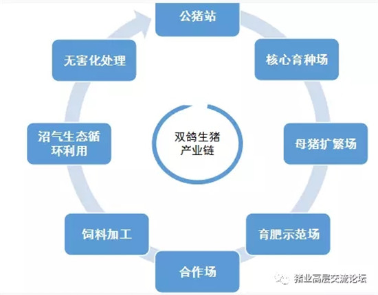 河北双鸽食品股份有限公司——生猪全产业链标杆