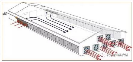 炎炎夏日，母猪燥热不食？猪场通风设施350元/㎡可以这么建！