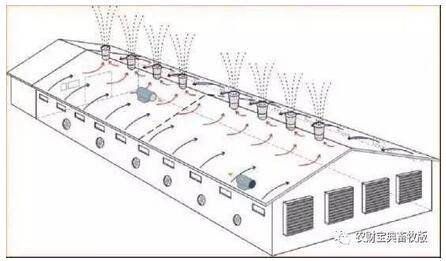 炎炎夏日，母猪燥热不食？猪场通风设施350元/㎡可以这么建！