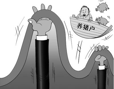 2017年猪价走势极其反常，到底是什么原因打压了猪市？