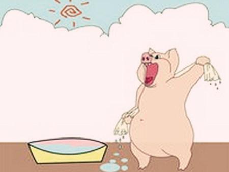 夏天猪也会感冒,应该怎么办才好