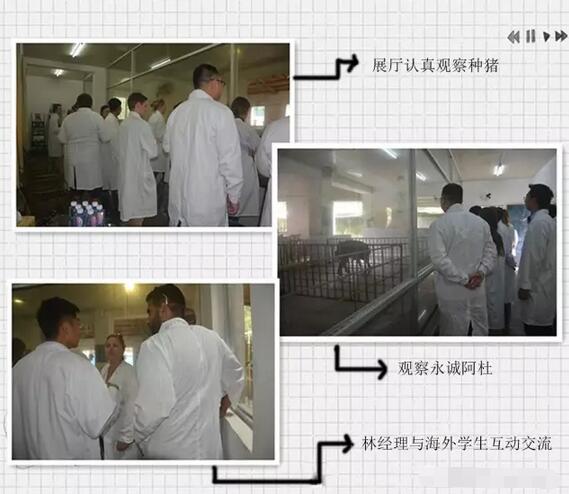 有朋自远方来——澳大利亚查尔斯特大学与福建农林大学交流学习夏令营之永诚参观学习