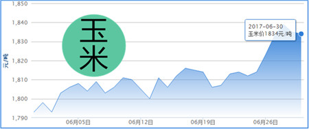 6月30日猪评：猪价下跌！已经有人害怕受灾开始出栏了 