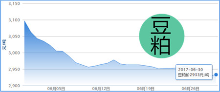 6月30日猪评：猪价下跌！已经有人害怕受灾开始出栏了 