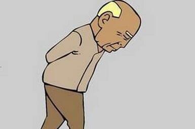 如果给你身上移植个猪的器官，你会愿意吗？