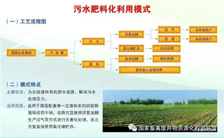 目前国内畜禽粪污资源化利用拥有哪些典型模式？