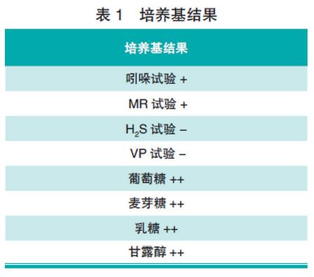 猪蓝耳病病毒、圆环病毒和大肠杆菌混合感染的诊断